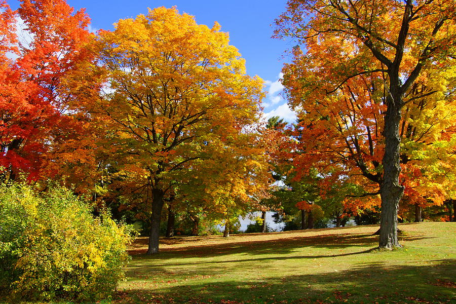 Institute Park Worcester, MA Photograph by Cindy Stowe Wilder - Fine ...