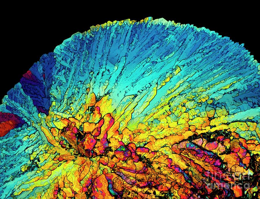 Insulin crystals light micrograph Photograph by Alfred Pasieka SPL