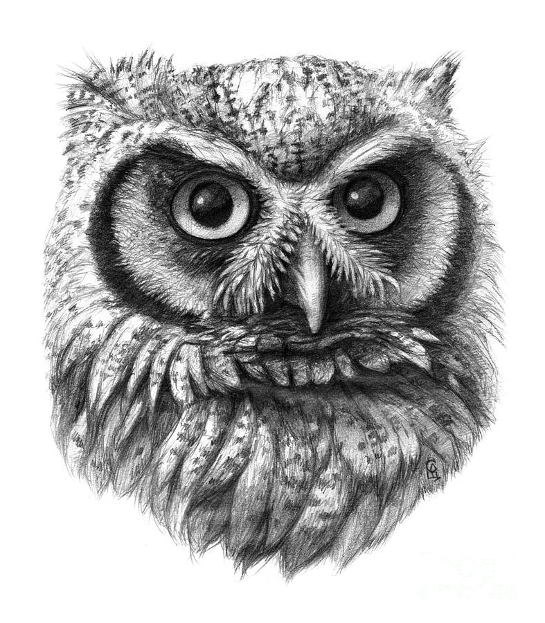 Intense Owl G137 Drawing by Svetlana Ledneva-Schukina