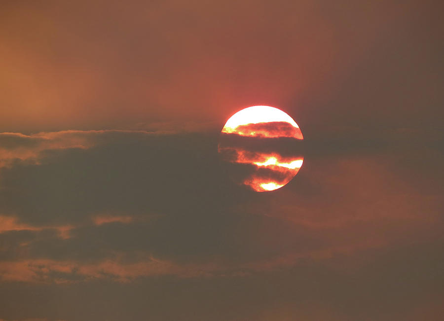 Intense Sunset Photograph by Laurel Powell