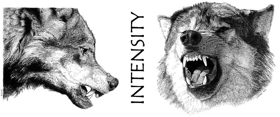 Intensity Drawing by Scott Woyak