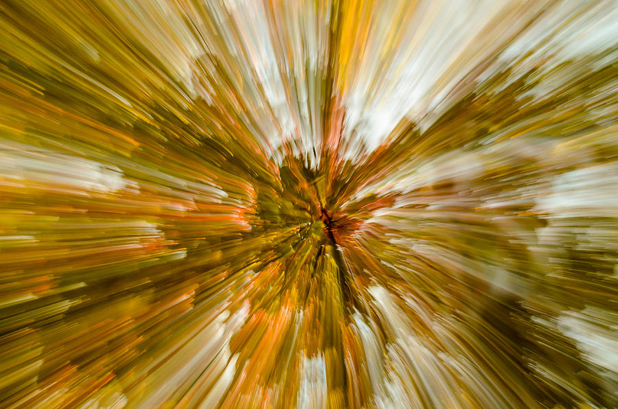 Intentional Camera Movement Photograph by AE Jones