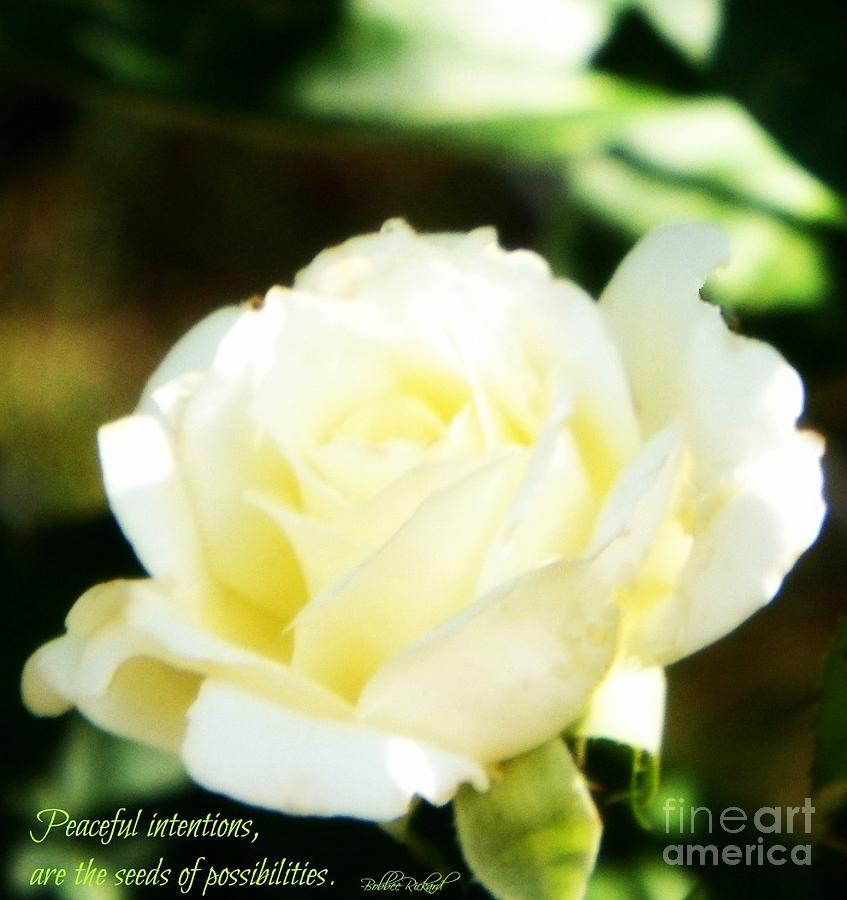 Inspirational Photograph - Intentions by Bobbee Rickard