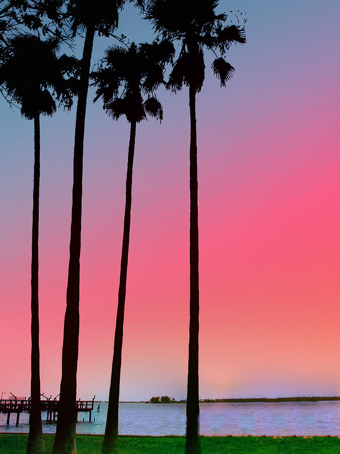 Sunset Photograph - Intercoastal Sunset by Bill Cannon