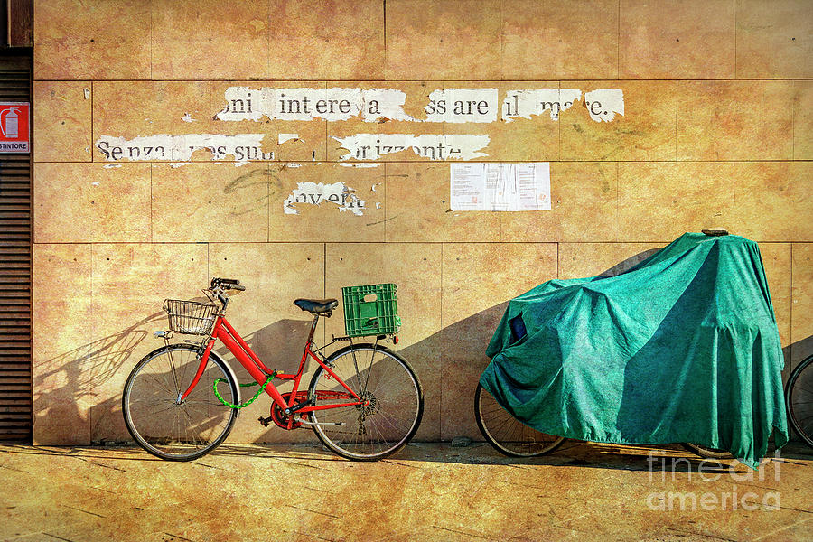 Intere Red Bicycle with Green Basket Photograph by Craig J Satterlee