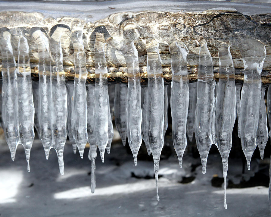 Interesting Ice Photograph by Doris Potter