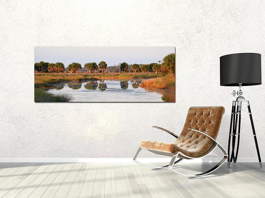 Home Decor with Golden Light on the St. Marks Marshes Photograph by Carla Parris