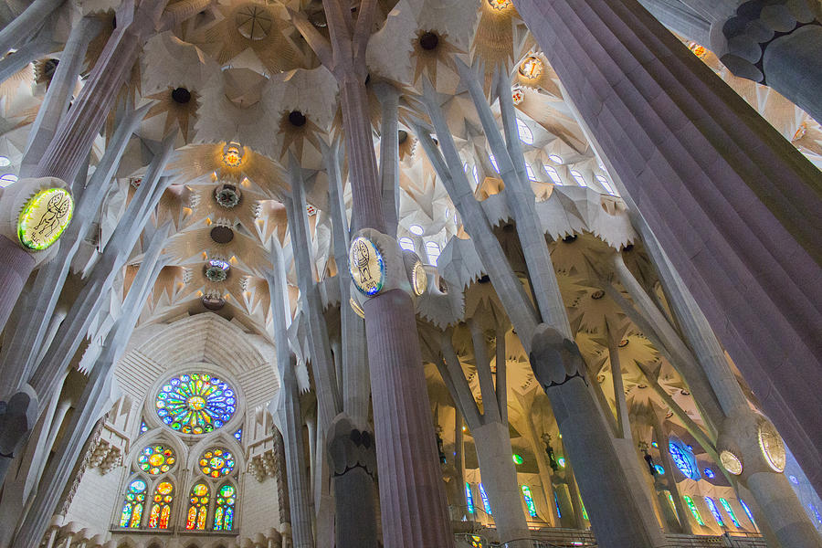 Interior- Sagrada Familia Photograph by Chas Hauxby - Fine Art America