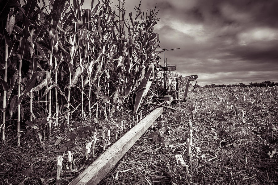 International Harveter Corn Binder Photograph by Chris Bordeleau