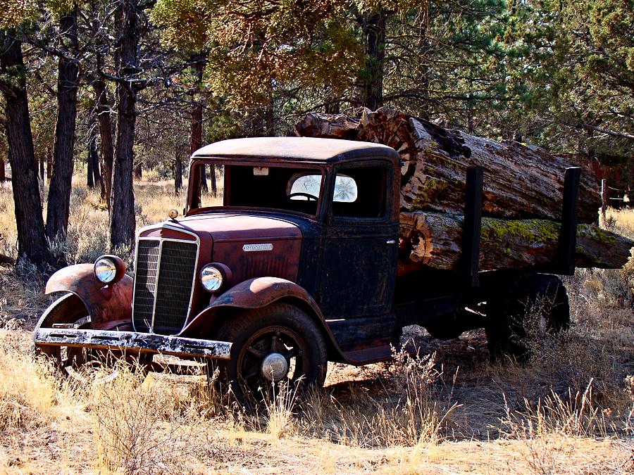 Tree Photograph - International Log Truck by Nick Kloepping
