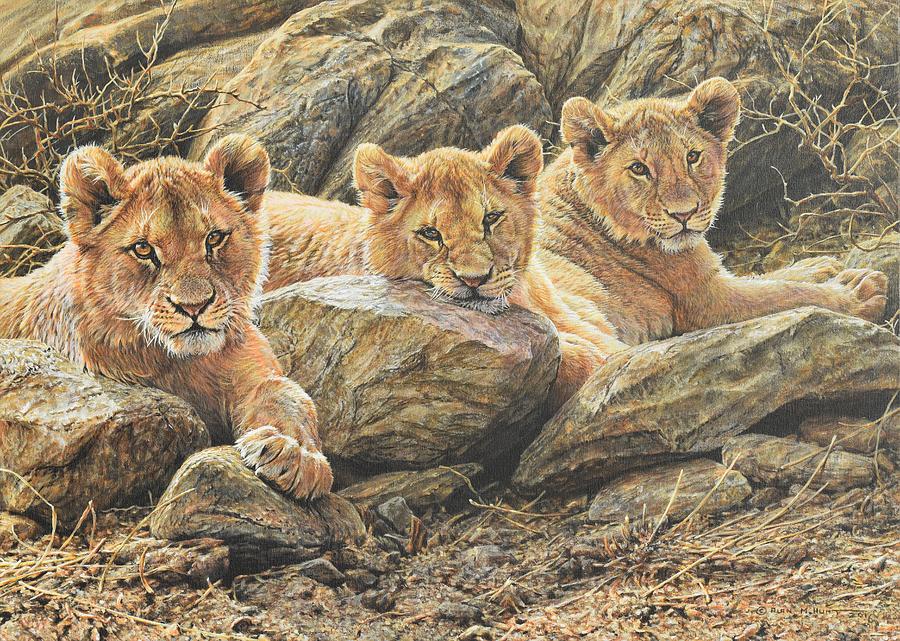 Interrupted Cat Nap Painting by Alan M Hunt