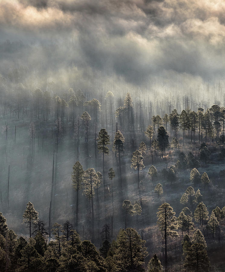Intersection of Fires by Andrew Gordon Intersection of Fires by Andrew Gordon