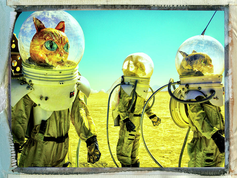 Surrealism Photograph - Interstellar Rat Patrol by Dominic Piperata