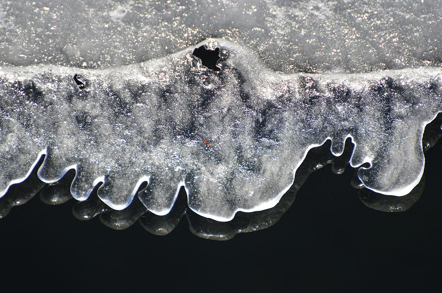 Intimate Ice  Photograph by Lyle Crump