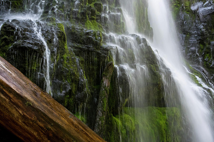 Proxy Falls Cascade Photograph by Steven Clark