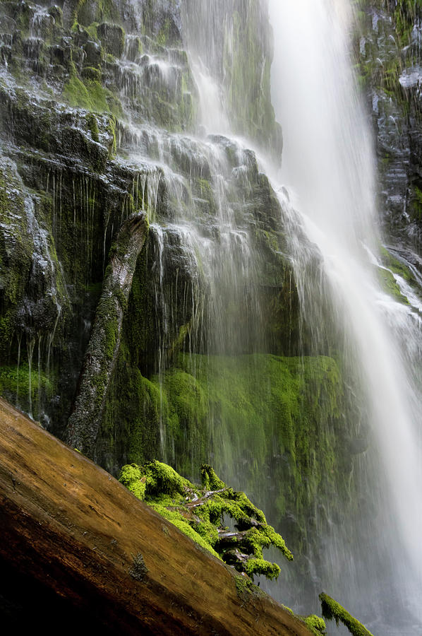 Intimate Proxy Falls Photograph by Steven Clark