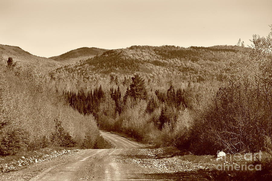 Into A Vintage Valley Photograph by Skip Willits