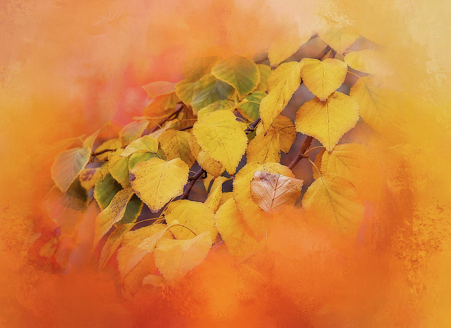 Into Autumn Mixed Media by Terry Davis