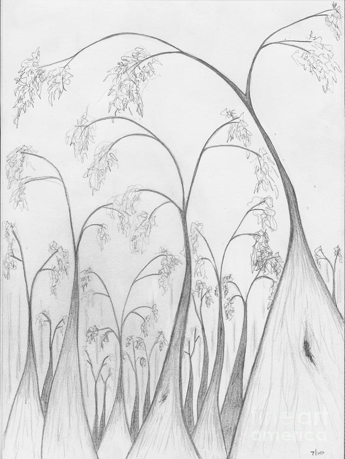 Into Boranup Forest Drawing by Leonie Higgins Noone