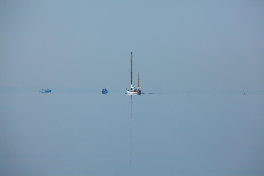 Summer Photograph - Into The Blue by Karol Livote