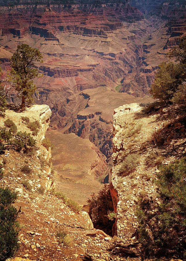 Into the Canyon Photograph by Susan Rissi Tregoning