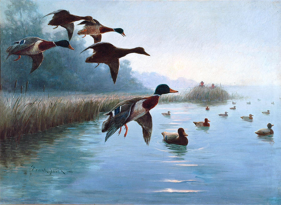 Into The Decoys Painting by Frank Stick