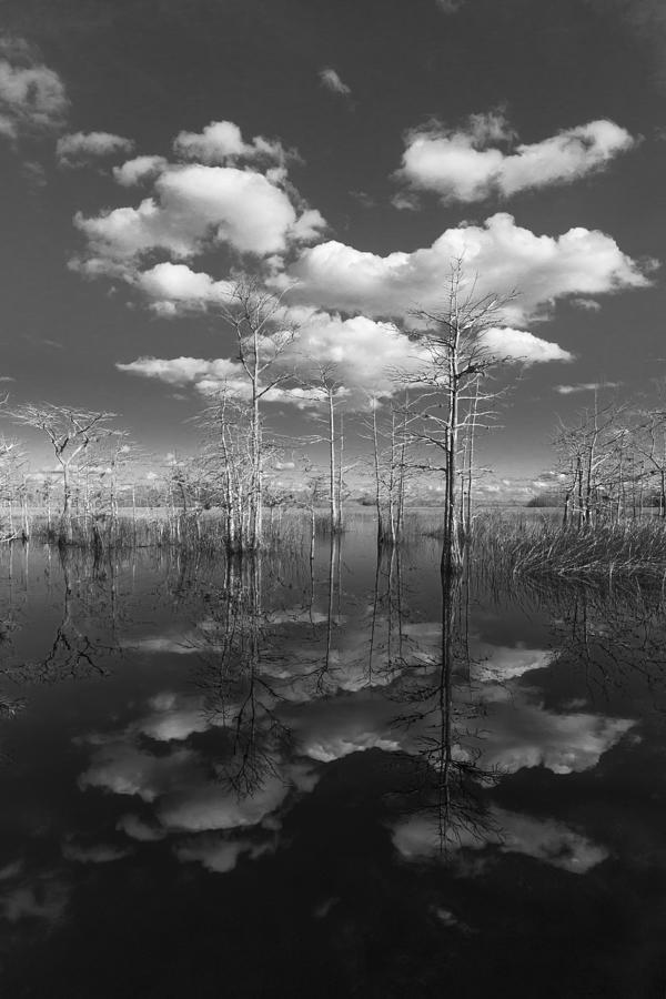 Beach Photograph - Into The Everglades by Debra and Dave Vanderlaan