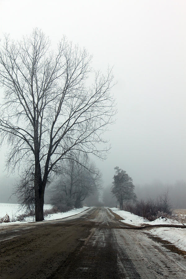 Into The Fog Photograph by Cathy Beharriell