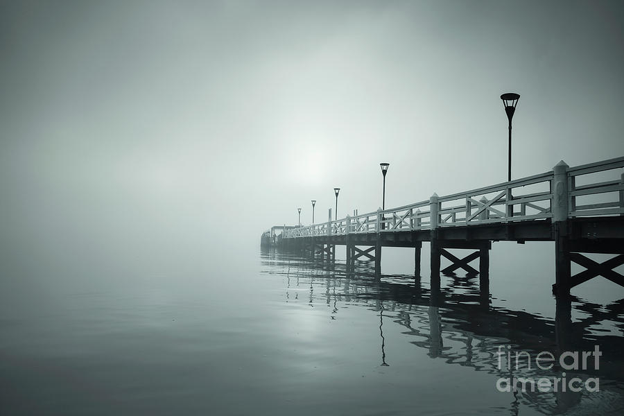 Into The Fog Photograph by Evelina Kremsdorf