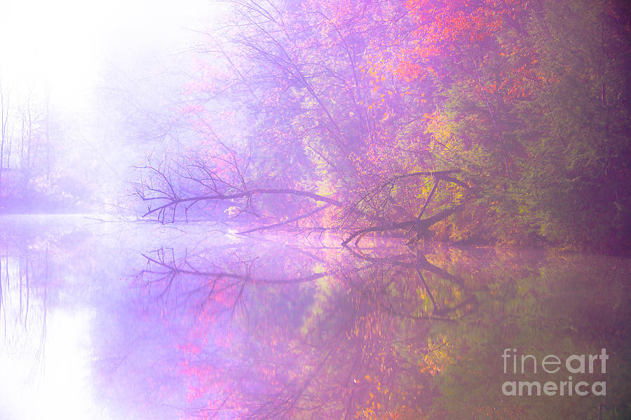 Tree Photograph - Into The Fog by Sherman Perry