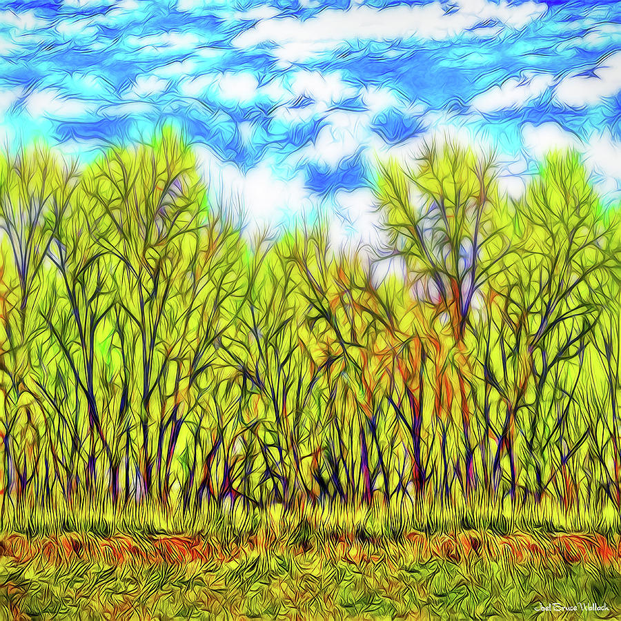Tree Digital Art - Into The Green Forest - Boulder County Colorado by Joel Bruce Wallach