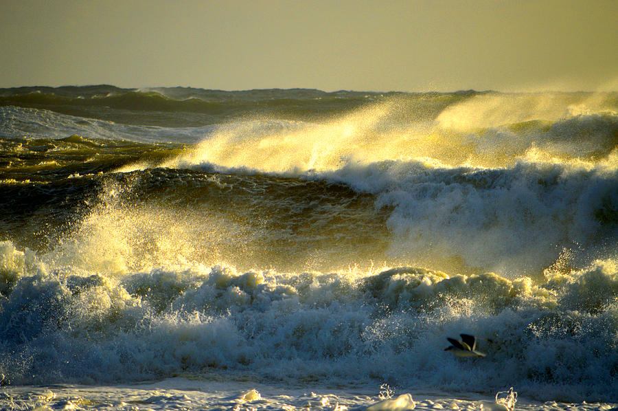 Into The Light - Cape Cod Ocean Photograph by Dianne Cowen Cape Cod Photography