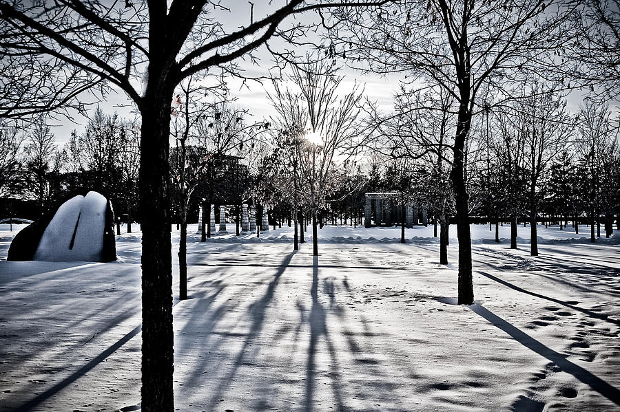 Into the Light by Chris Coward Into the Light by Chris Coward