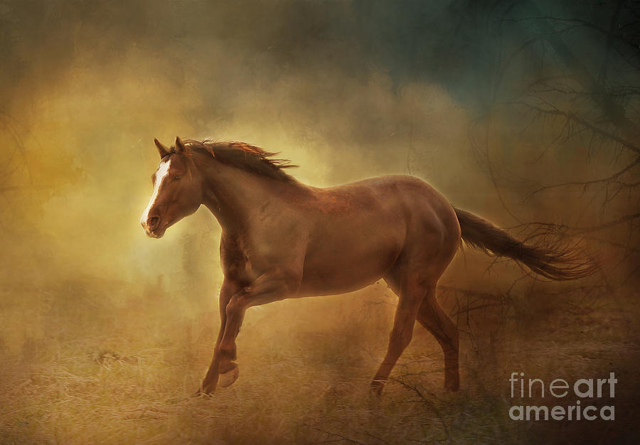 Into The Light Horse Digital Painterly Photograph by Clare VanderVeen