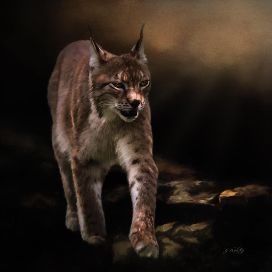 Into The Light - Lynx Art Painting by Jordan Blackstone