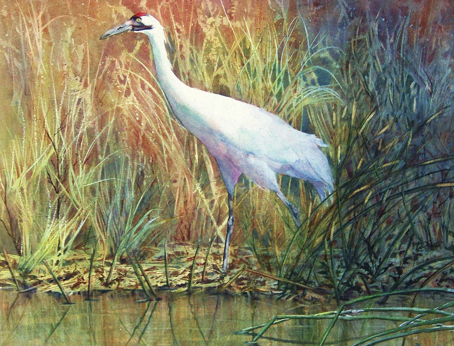 Wildlife Painting - Into the Light by Vicky Lilla