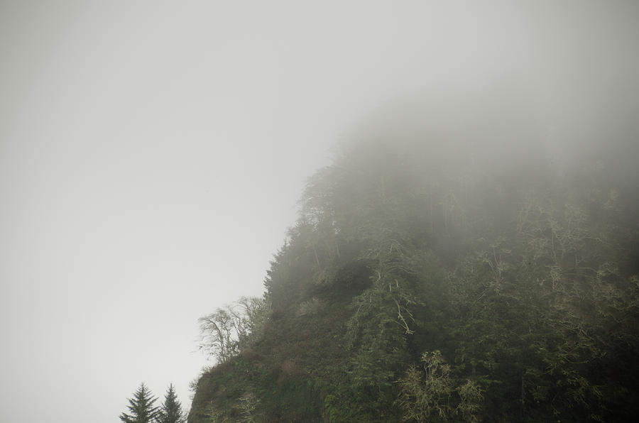 Into The Mist Photograph
