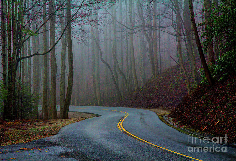 Into the Mist Photograph by Douglas Stucky