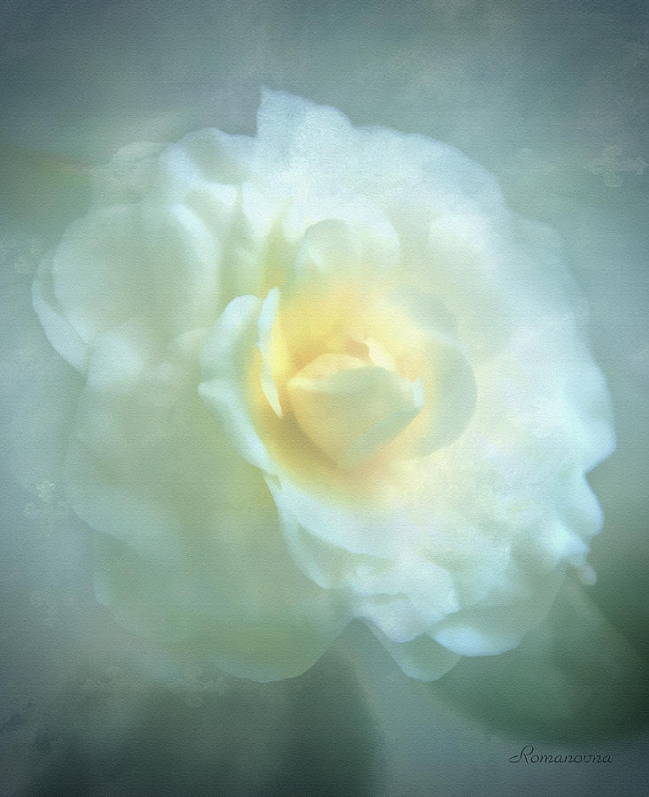 Flower Mixed Media - Into The Mist by Georgiana Romanovna
