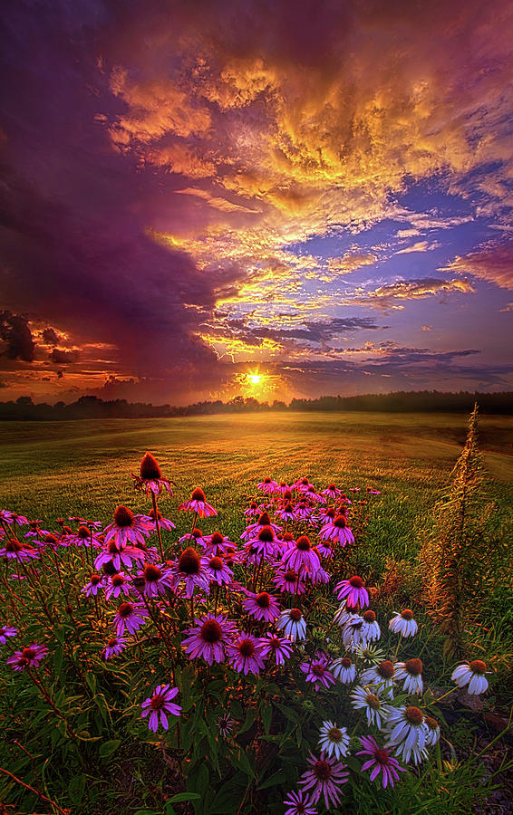 Into The Moment Photograph by Phil Koch