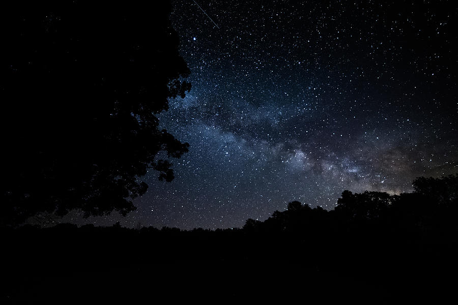 Into The Night Milky Way Photograph