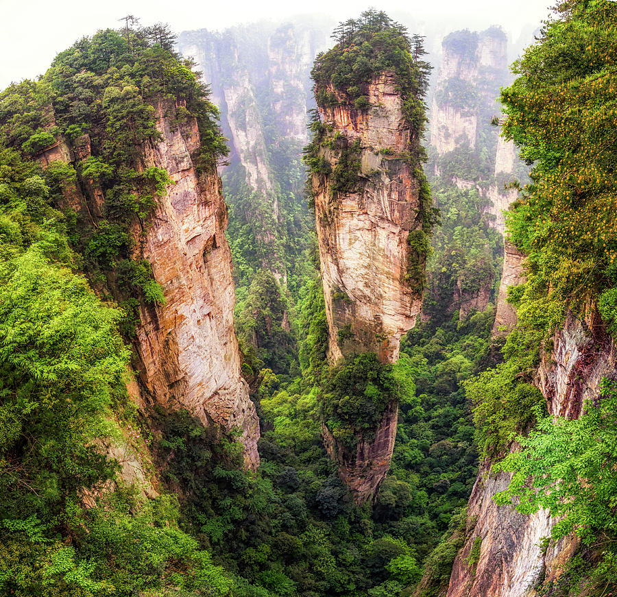 Avatar Photograph - Into The Peaks Of Zhangjiajie by Aaron Choi