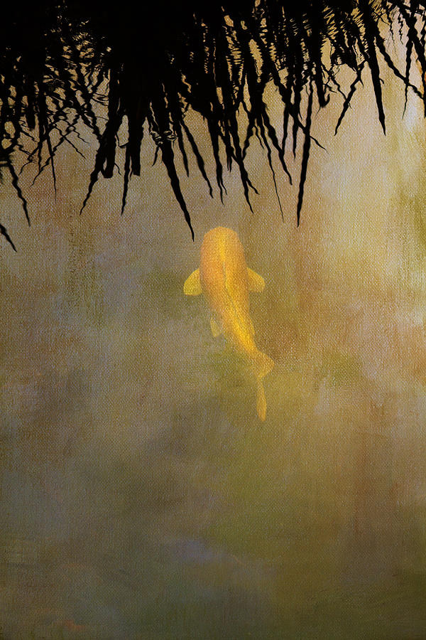 Koi Photograph - Into The Rushes by Rebecca Cozart
