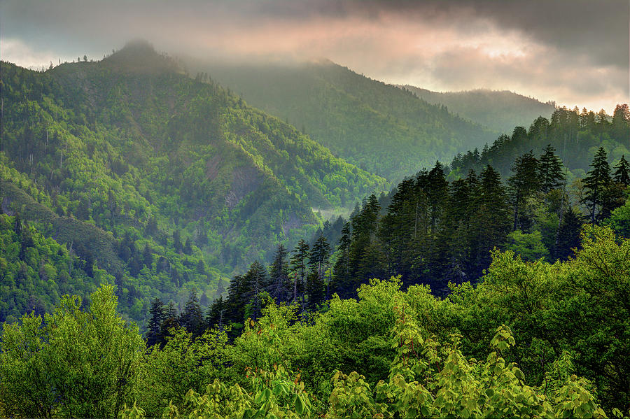 Into The Smokies Photograph by Mike Eingle
