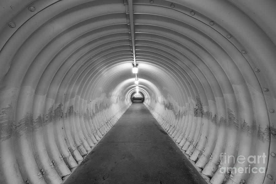 Into the tunnel Photograph by Juli Scalzi