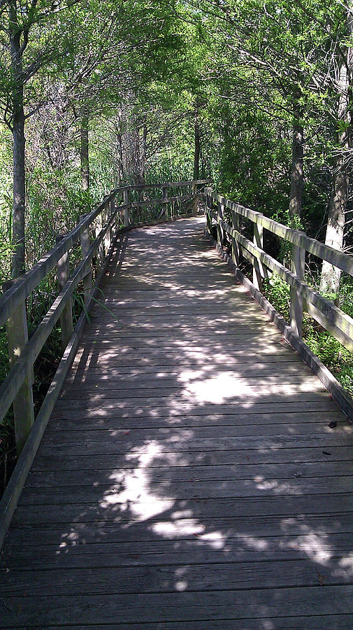 Into the Unknown by Liza Eckardt Into the Unknown by Liza Eckardt