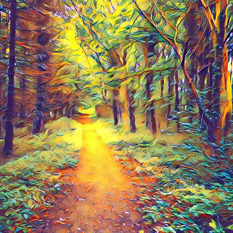 Into the Woods Digital Art by Mark Callanan