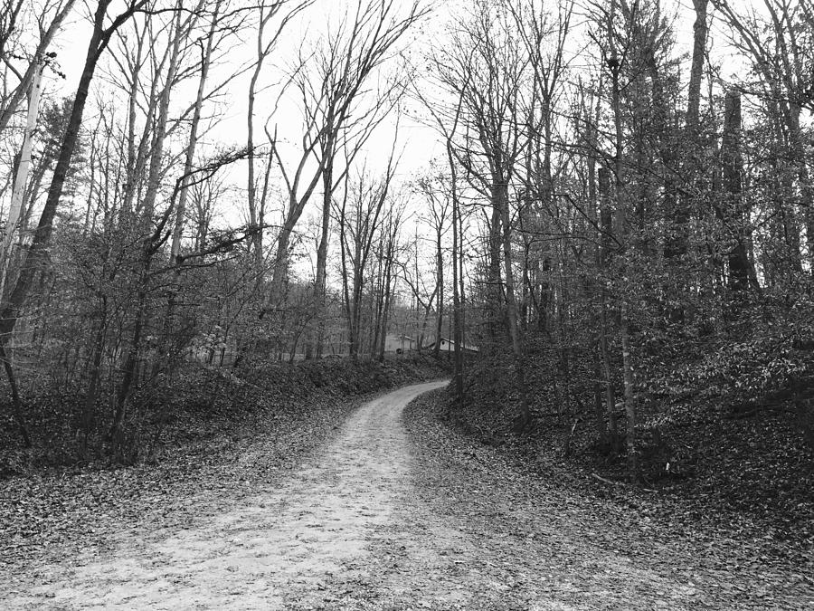 Into The Woods Photograph By Russell Keating - Fine Art America