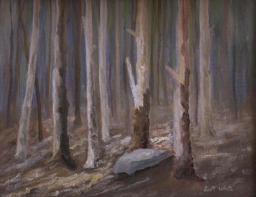Into The Woods Painting by Scott W White