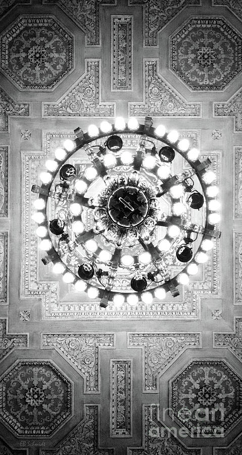 Intricate Ceiling Photograph by E B Schmidt